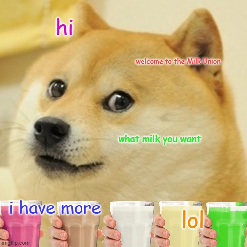 Welcome to the Milk Union | hi; welcome to the Milk Union; what milk you want; i have more; lol | image tagged in memes,doge | made w/ Imgflip meme maker