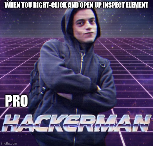 d | WHEN YOU RIGHT-CLICK AND OPEN UP INSPECT ELEMENT; PRO | image tagged in hacker man,oh wow are you actually reading these tags | made w/ Imgflip meme maker