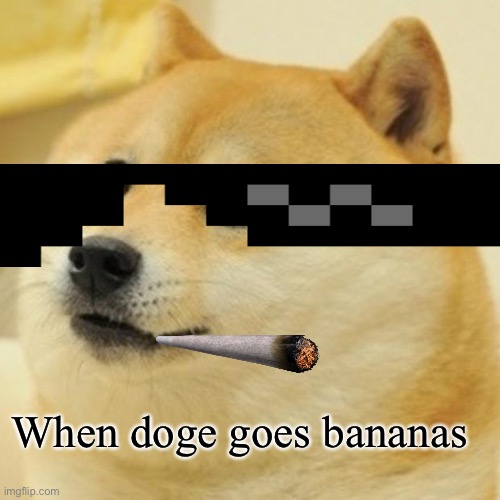 Doge Meme | When doge goes bananas | image tagged in memes,doge | made w/ Imgflip meme maker