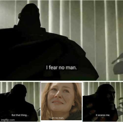 I fear no man (ps this is just a joke i have nothing against women) | image tagged in i fear no man | made w/ Imgflip meme maker