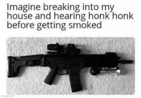 *HONK HONK* | image tagged in memes | made w/ Imgflip meme maker