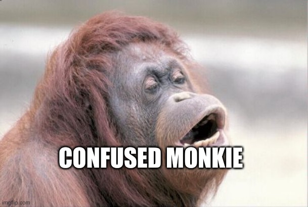 Monkey OOH Meme | CONFUSED MONKIE | image tagged in memes,monkey ooh | made w/ Imgflip meme maker