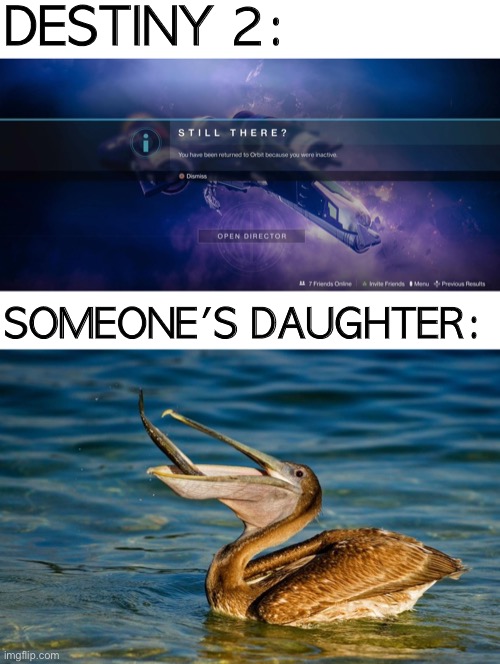 she's probably a streamer too | DESTINY 2:; SOMEONE'S DAUGHTER: | image tagged in gaming,destiny 2,daughter,streamer | made w/ Imgflip meme maker