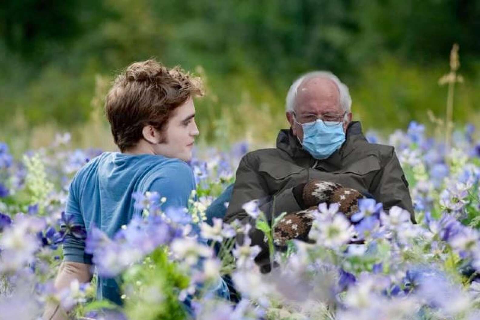 Bernie in the meadow Blank Meme Template