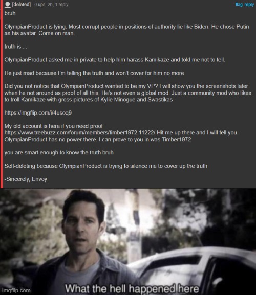 image tagged in what the hell happened here | made w/ Imgflip meme maker