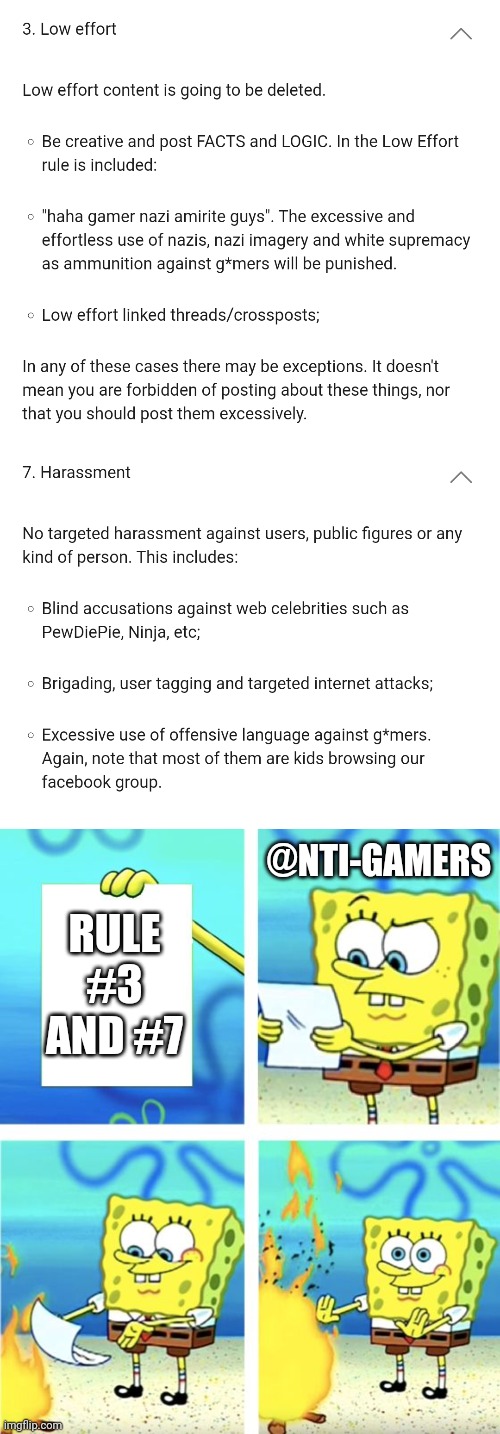 Reminder, these rules are on the actual sub reddit | @NTI-GAMERS; RULE #3 AND #7 | image tagged in spongebob burning paper | made w/ Imgflip meme maker