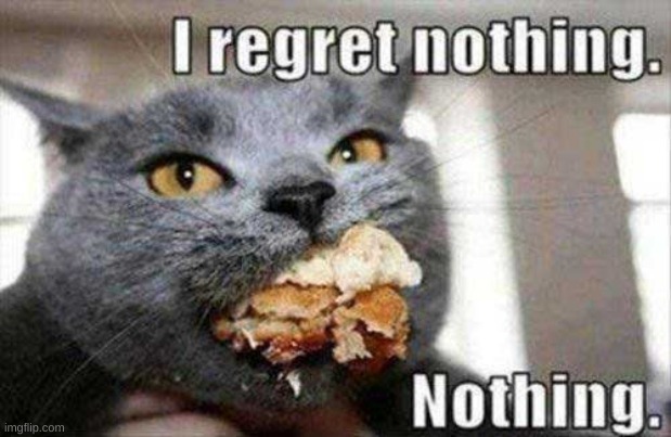 I'm envious of this cat rn | image tagged in memes,cat | made w/ Imgflip meme maker