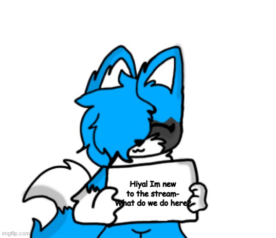 Just askin UwU | Hiya! Im new to the stream- What do we do here? | image tagged in cloud holding a sign | made w/ Imgflip meme maker