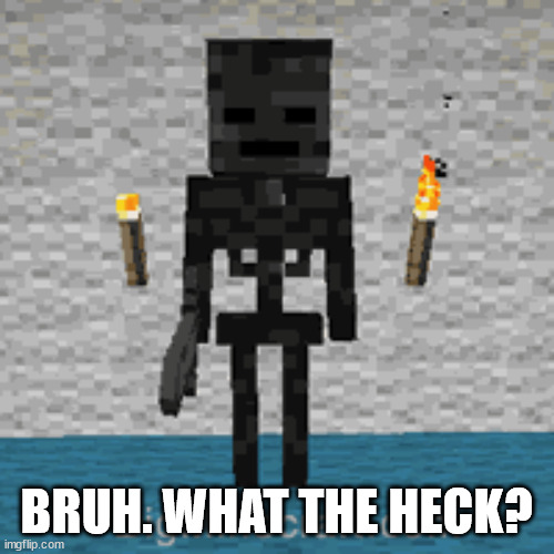 BRUH. WHAT THE HECK? | made w/ Imgflip meme maker