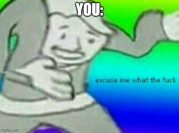 Excuse me wtf | YOU: | image tagged in excuse me wtf | made w/ Imgflip meme maker