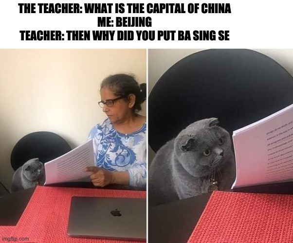 Woman showing paper to cat | THE TEACHER: WHAT IS THE CAPITAL OF CHINA
ME: BEIJING
TEACHER: THEN WHY DID YOU PUT BA SING SE | image tagged in woman showing paper to cat | made w/ Imgflip meme maker