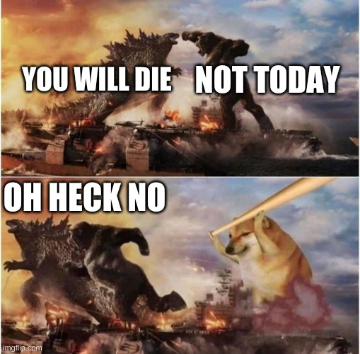 OBEY KING DOGE |  NOT TODAY; YOU WILL DIE; OH HECK NO | image tagged in kong godzilla doge | made w/ Imgflip meme maker