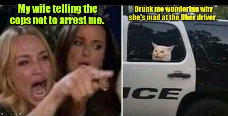Can I get a ride? | Drunk me wondering why she's mad at the Uber driver. My wife telling the cops not to arrest me. | image tagged in angry lady cat | made w/ Imgflip meme maker