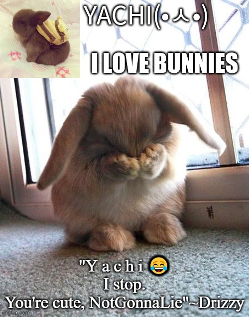 Yachi's bunny temp | "Y a c h i 😂
I stop. You're cute, NotGonnaLie"~Drizzy | image tagged in yachi's bunny temp | made w/ Imgflip meme maker