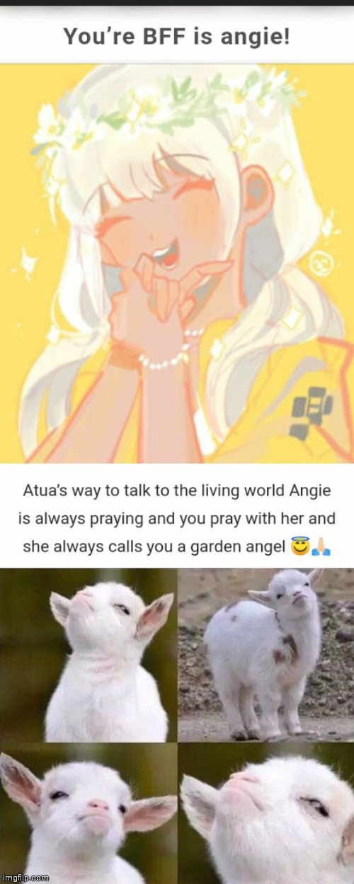 Yes | image tagged in smug goat | made w/ Imgflip meme maker