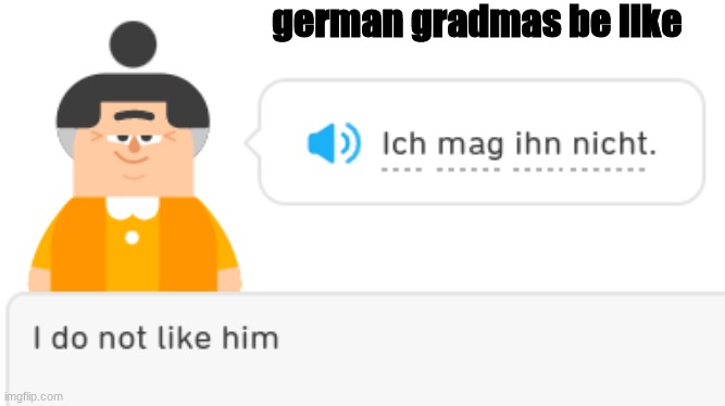 Evil Grandma | german gradmas be like | image tagged in evil grandma | made w/ Imgflip meme maker