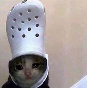 High Quality cat crying with a croc on his head Blank Meme Template