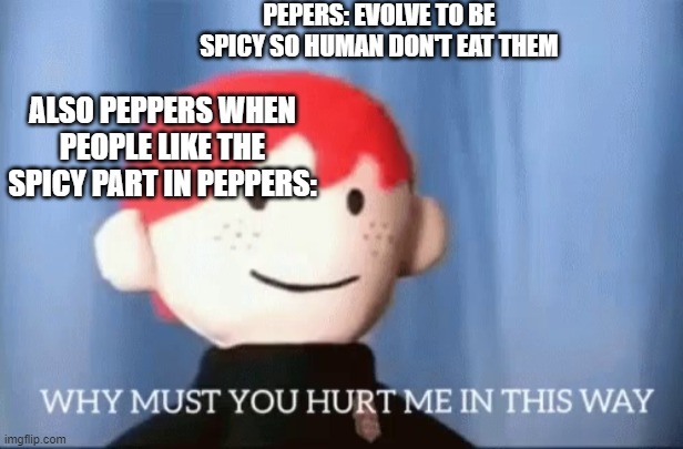 lol 360 no-scope | PEPERS: EVOLVE TO BE SPICY SO HUMAN DON'T EAT THEM; ALSO PEPPERS WHEN PEOPLE LIKE THE SPICY PART IN PEPPERS: | image tagged in why must you hurt me in this way | made w/ Imgflip meme maker