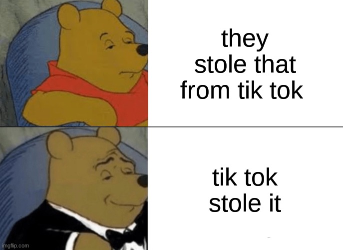 Tuxedo Winnie The Pooh Meme | they stole that from tik tok; tik tok stole it | image tagged in memes,tuxedo winnie the pooh,tik tok sucks,funny | made w/ Imgflip meme maker