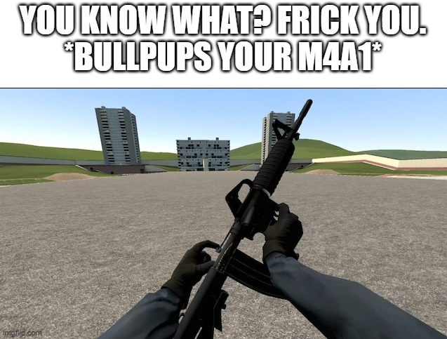 probably the wrong stream but why the heck not post this? | YOU KNOW WHAT? FRICK YOU.
*BULLPUPS YOUR M4A1* | image tagged in bullpup | made w/ Imgflip meme maker