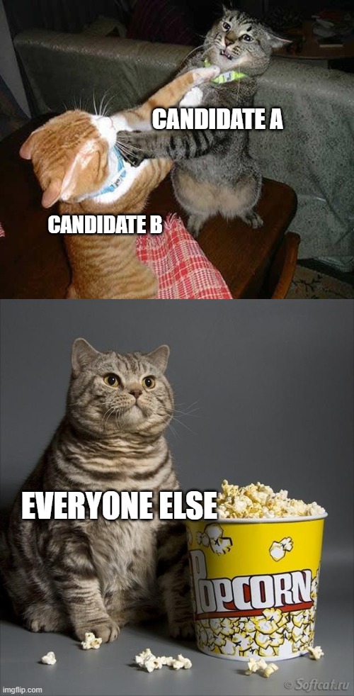 I this explains this stream well | CANDIDATE A; CANDIDATE B; EVERYONE ELSE | image tagged in cat watching other cats fight | made w/ Imgflip meme maker