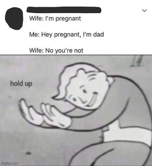 Wat? | image tagged in fallout hold up | made w/ Imgflip meme maker