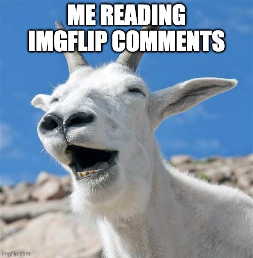 Laughing Goat | ME READING IMGFLIP COMMENTS | image tagged in memes,laughing goat | made w/ Imgflip meme maker