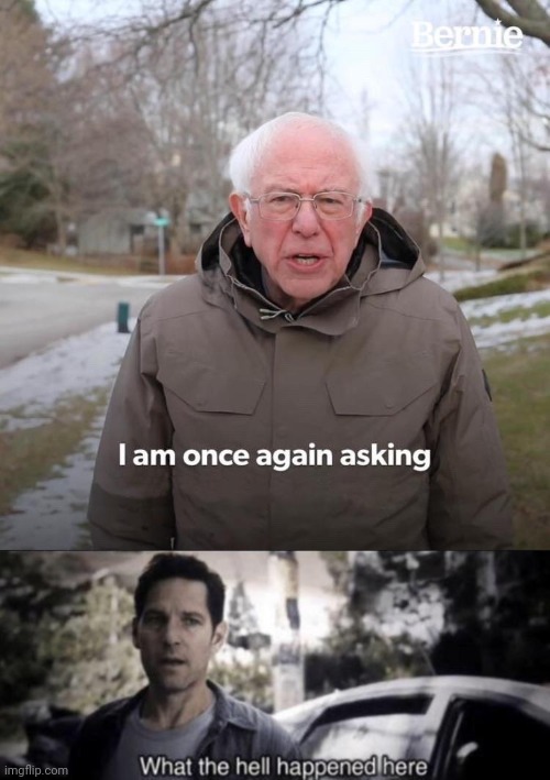 image tagged in memes,bernie i am once again asking for your support,what the hell happened here | made w/ Imgflip meme maker