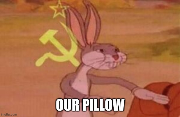 our | OUR PILLOW | image tagged in our | made w/ Imgflip meme maker