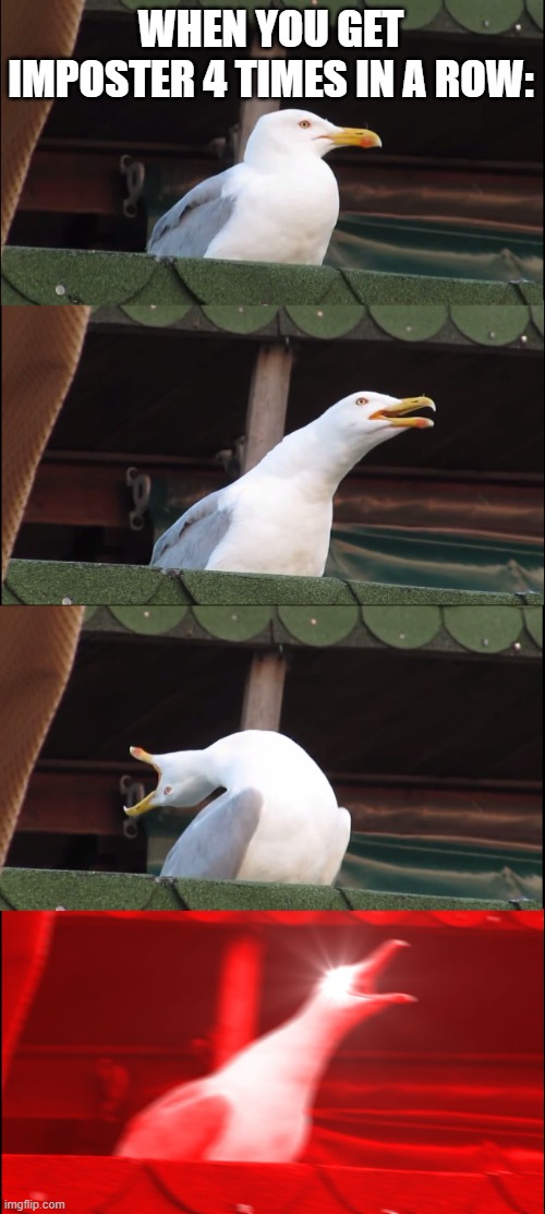i like this people | WHEN YOU GET IMPOSTER 4 TIMES IN A ROW: | image tagged in memes,inhaling seagull,never gonna give you up,never gonna let you down,never gonna run around,or hurt you | made w/ Imgflip meme maker