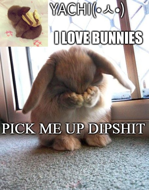 Yachi's bunny temp | PICK ME UP DIPSHIT | image tagged in yachi's bunny temp | made w/ Imgflip meme maker