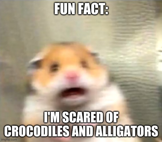 ALL BC OF A MOVIE ;O; | FUN FACT:; I'M SCARED OF CROCODILES AND ALLIGATORS | image tagged in scared hamster | made w/ Imgflip meme maker