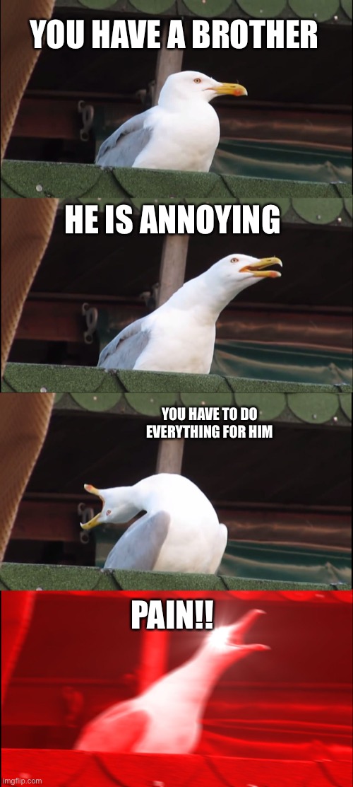 Inhaling Seagull | YOU HAVE A BROTHER; HE IS ANNOYING; YOU HAVE TO DO EVERYTHING FOR HIM; PAIN!! | image tagged in memes,inhaling seagull | made w/ Imgflip meme maker