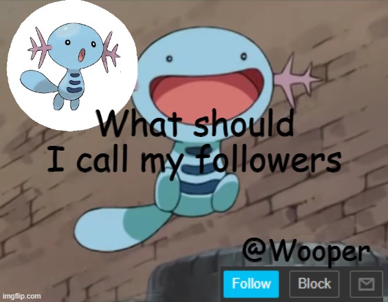 e | What should I call my followers | image tagged in wooper template | made w/ Imgflip meme maker