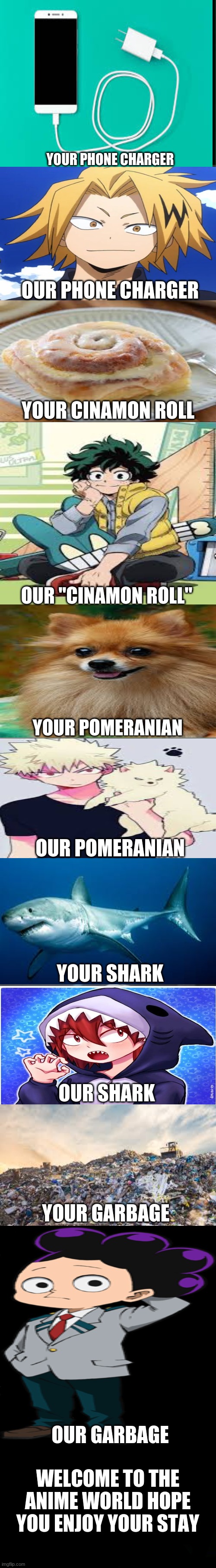 welcome to the mha world | YOUR PHONE CHARGER; OUR PHONE CHARGER; YOUR CINAMON ROLL; OUR "CINAMON ROLL"; YOUR POMERANIAN; OUR POMERANIAN; YOUR SHARK; OUR SHARK; YOUR GARBAGE; OUR GARBAGE; WELCOME TO THE ANIME WORLD HOPE YOU ENJOY YOUR STAY | made w/ Imgflip meme maker