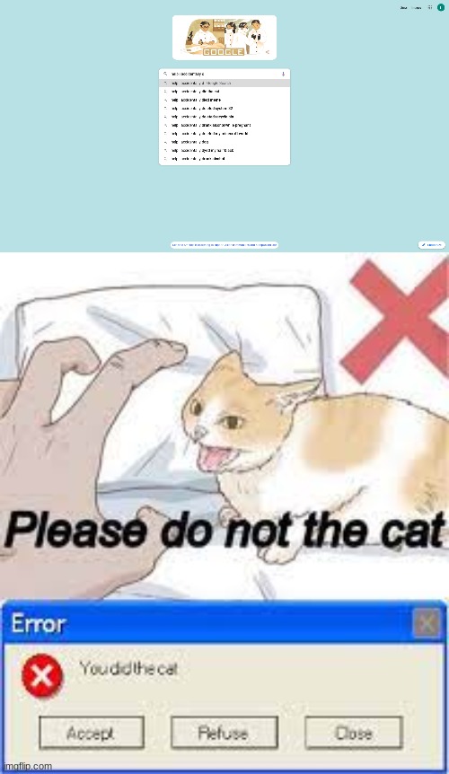 Help I Accidentally Did The Cat | image tagged in help i accidentally,did the cat | made w/ Imgflip meme maker