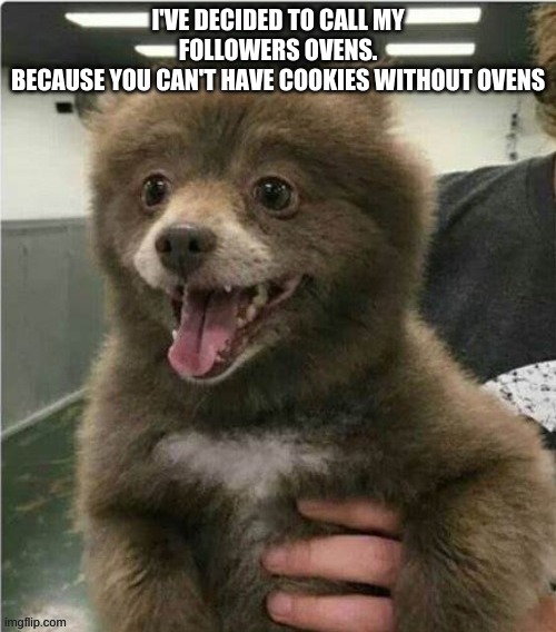 :) | I'VE DECIDED TO CALL MY FOLLOWERS OVENS.
BECAUSE YOU CAN'T HAVE COOKIES WITHOUT OVENS | image tagged in smol bear | made w/ Imgflip meme maker