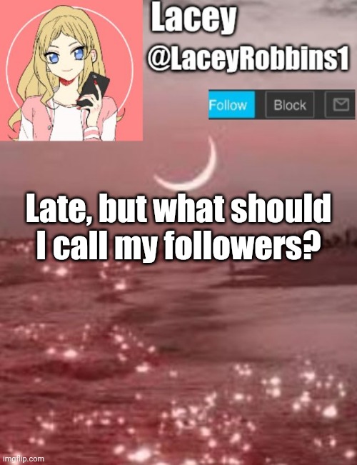 I Wanted To Call My Followers "Diamonds", But You Decide | Late, but what should I call my followers? | image tagged in lacey announcement template | made w/ Imgflip meme maker
