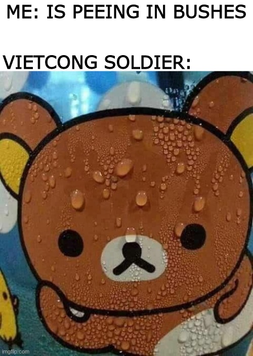 Sweat Bear | VIETCONG SOLDIER:; ME: IS PEEING IN BUSHES | image tagged in sweat bear | made w/ Imgflip meme maker