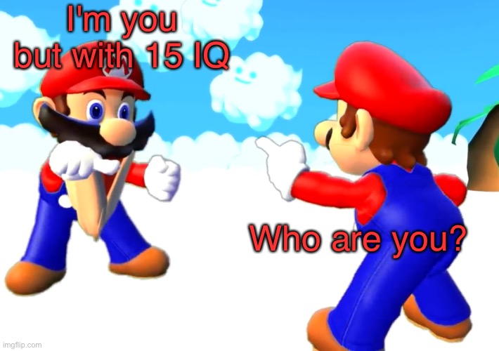 Good job reading the title | I'm you but with 15 IQ; Who are you? | image tagged in mario s pointing at each other,super mario,mario,smg4,memes,spiderman pointing at spiderman | made w/ Imgflip meme maker