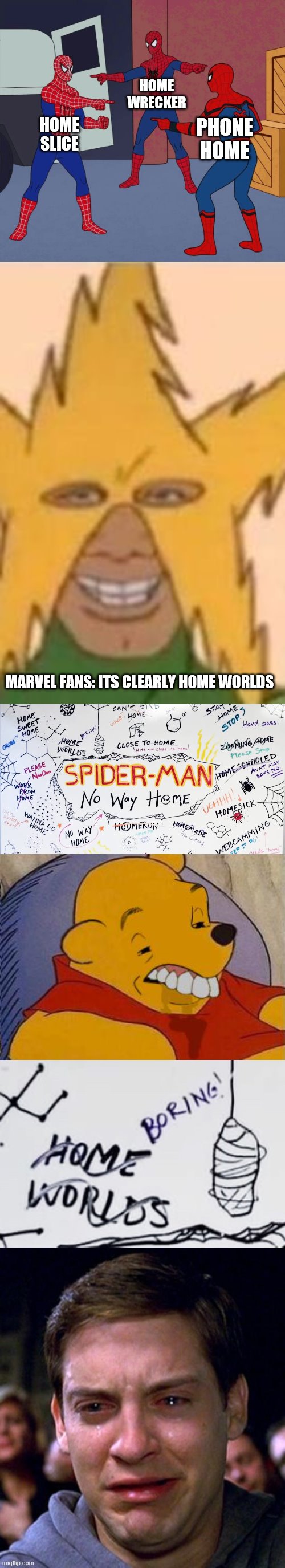 spider man 3 | HOME WRECKER; PHONE HOME; HOME SLICE; MARVEL FANS: ITS CLEARLY HOME WORLDS | image tagged in spider man triple,memes,me and the boys,best better blurst,crying peter parker | made w/ Imgflip meme maker
