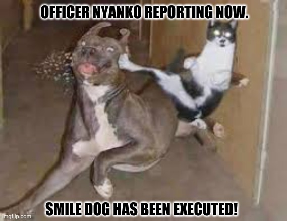 did some one say ____???? | OFFICER NYANKO REPORTING NOW. SMILE DOG HAS BEEN EXECUTED! | image tagged in memes,what the fish,marvel comics | made w/ Imgflip meme maker