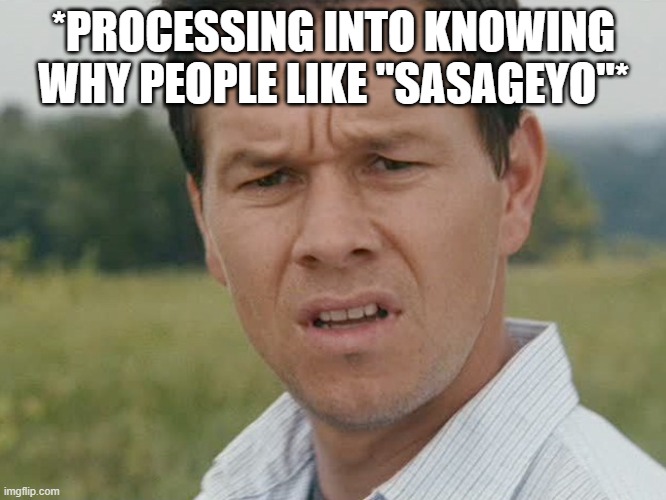 Huh  | *PROCESSING INTO KNOWING WHY PEOPLE LIKE "SASAGEYO"* | image tagged in huh | made w/ Imgflip meme maker