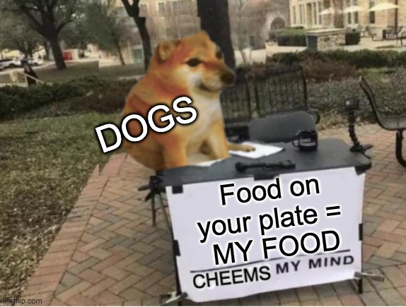 Because they already own everything on the floor | DOGS; Food on your plate = 
MY FOOD | image tagged in cheems my mind,dogs,food | made w/ Imgflip meme maker