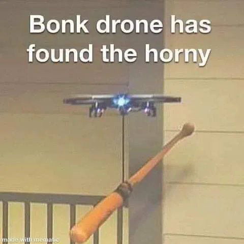 Bonk drone Blank Meme Template