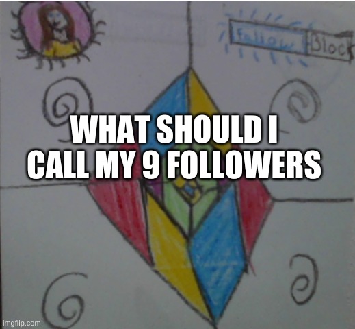 WHAT SHOULD I CALL MY 9 FOLLOWERS | made w/ Imgflip meme maker