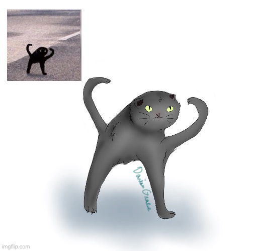 I- ... I made this | image tagged in wtf,cat memes | made w/ Imgflip meme maker