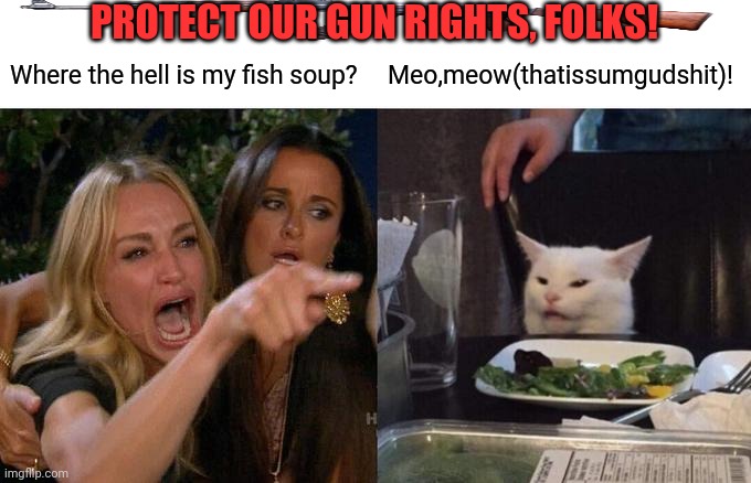 Woman Yelling At Cat Meme | PROTECT OUR GUN RIGHTS, FOLKS! Where the hell is my fish soup? Meo,meow(thatissumgudshit)! | image tagged in memes,woman yelling at cat,fishing | made w/ Imgflip meme maker