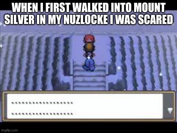 WHEN I FIRST WALKED INTO MOUNT SILVER IN MY NUZLOCKE I WAS SCARED | image tagged in pokemon | made w/ Imgflip meme maker