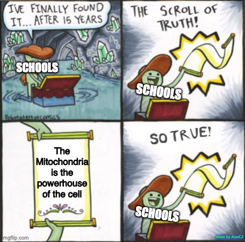 A new core memory!! | SCHOOLS; SCHOOLS; The Mitochondria is the powerhouse of the cell; SCHOOLS; Made by AlexCJ | image tagged in the real scroll of truth,memes,mitochondria,school,funny memes,stop reading the tags | made w/ Imgflip meme maker